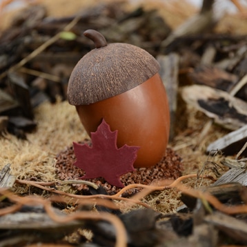 Le chocolat d’automne par excellence !